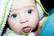 155 220x140 Img 1628 in 