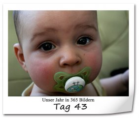 255 320x240 Tag-43 in 