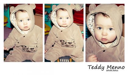 260 420x340 10-2-teddy-menno in 