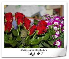 285 320x240 Tag-67 in 