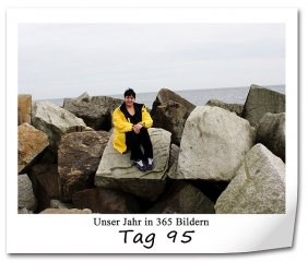338 320x240 Tag-95 in 