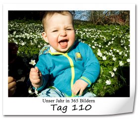 352 320x240 Tag-110 in 