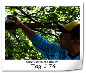 517 320x240 Tag-174 in 