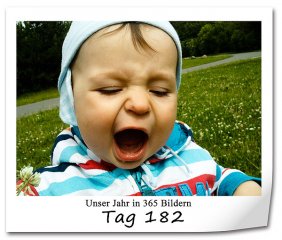 525 320x240 Tag-182 in 