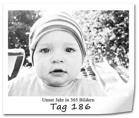 529 320x240 Tag-186 in 