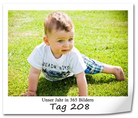 582 320x240 Tag-208 in 