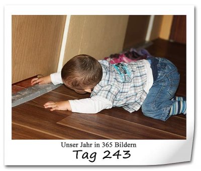 621 420x340 Tag-243 in P365: Tag 229 bis 259