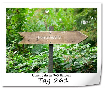 658 420x340 Tag-261 in P365: Tag 260 bis 288