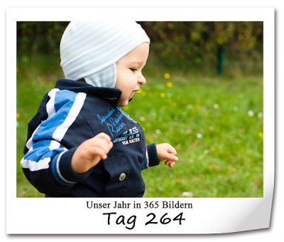 661 420x340 Tag-264 in P365: Tag 260 bis 288