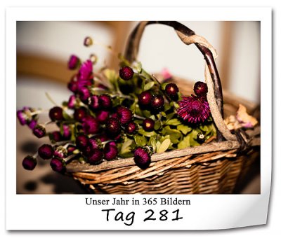 678 420x340 Tag-281 in P365: Tag 260 bis 288