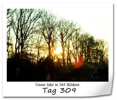 707 420x340 Tag-309 in P365: Tag 289 bis 310