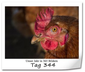 752 320x240 Tag-344 in 