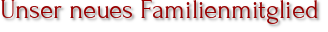 Unser neues Familienmitglied