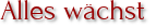 Alles wächst